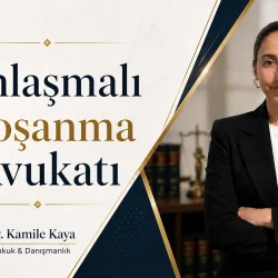 anlaşmalı boşanma avukatı antalya